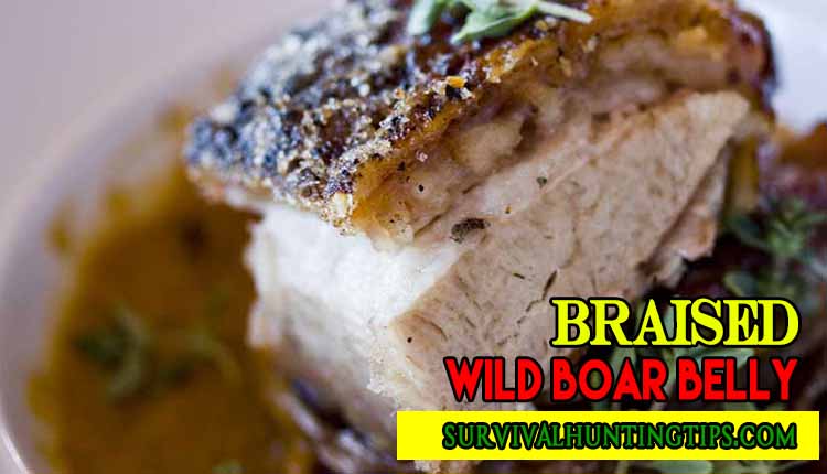 Braised Wild Boar Belly