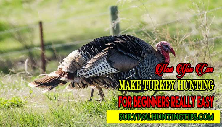 Turkey Hunting for Beginners