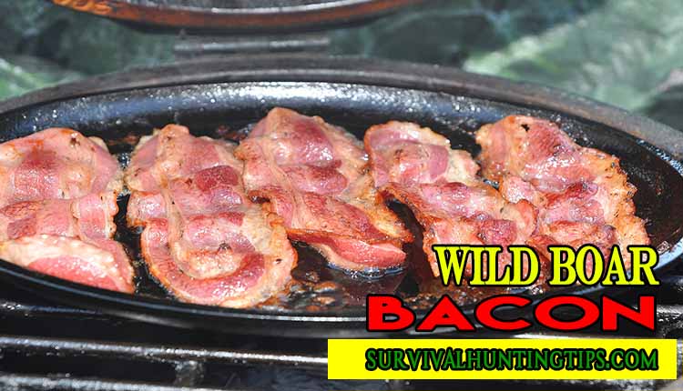 Wild Boar Bacon