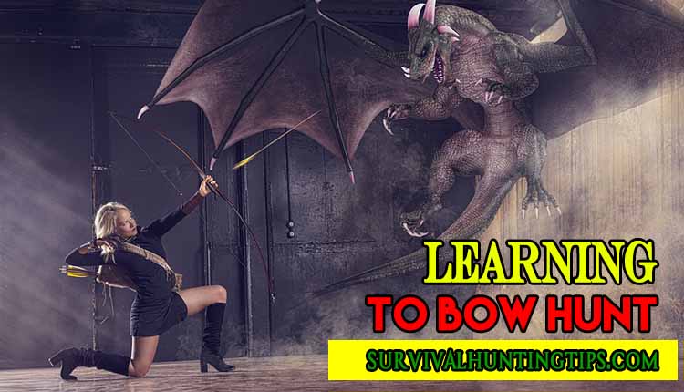 Learning To Bow Hunt – How To Start Bow Hunting