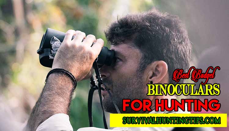 Best Budget Binoculars For Hunting