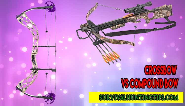 Crossbow Vs Compound Bow