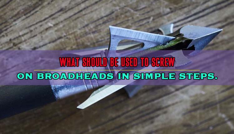 What Should Be Used to Screw on Broadheads in Simple Steps